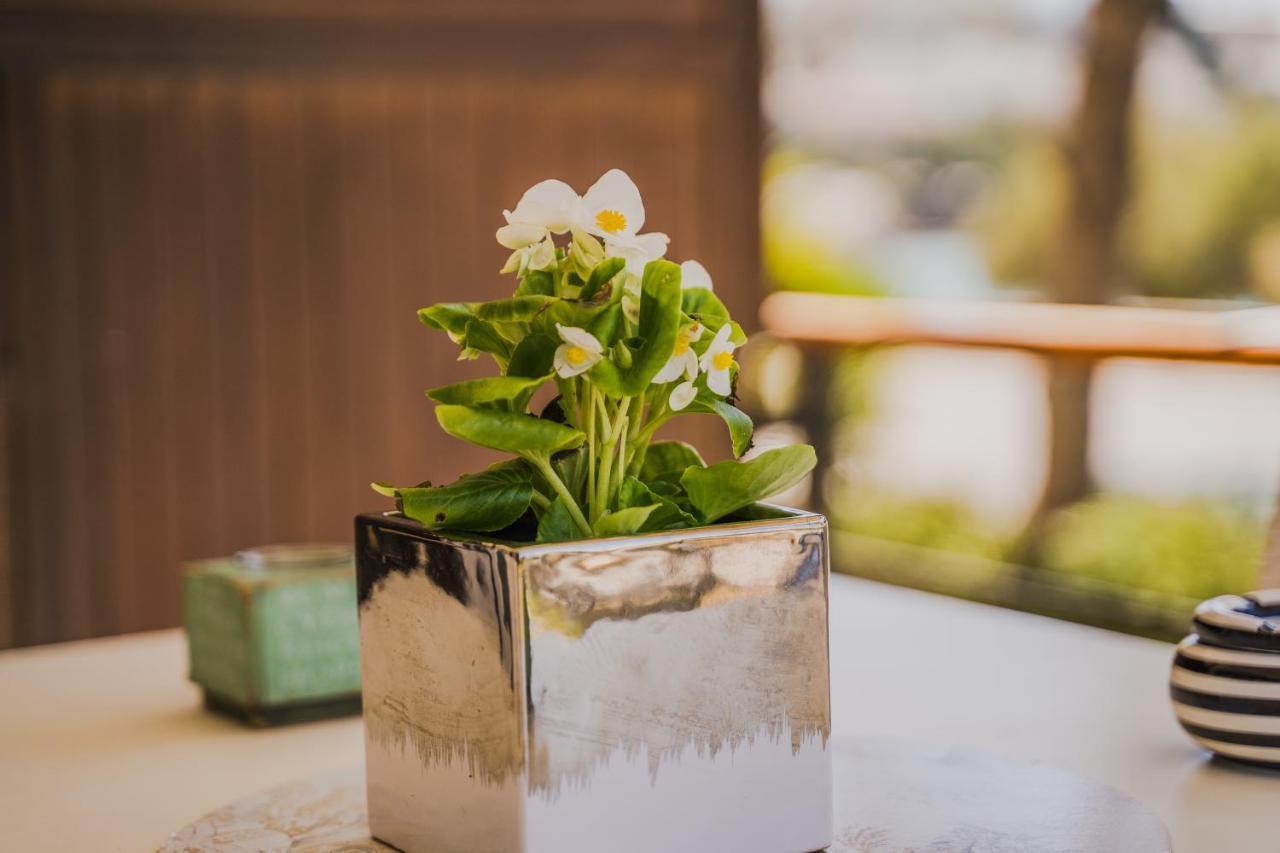 Green Apartment Ground Floor Feel Like Home Properties Saronida Eksteriør bilde