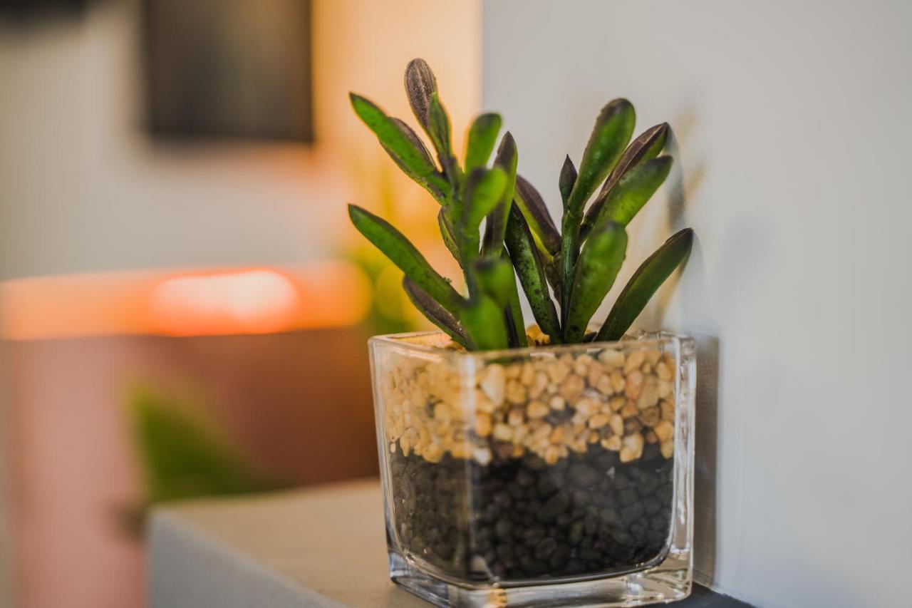 Green Apartment Ground Floor Feel Like Home Properties Saronida Eksteriør bilde