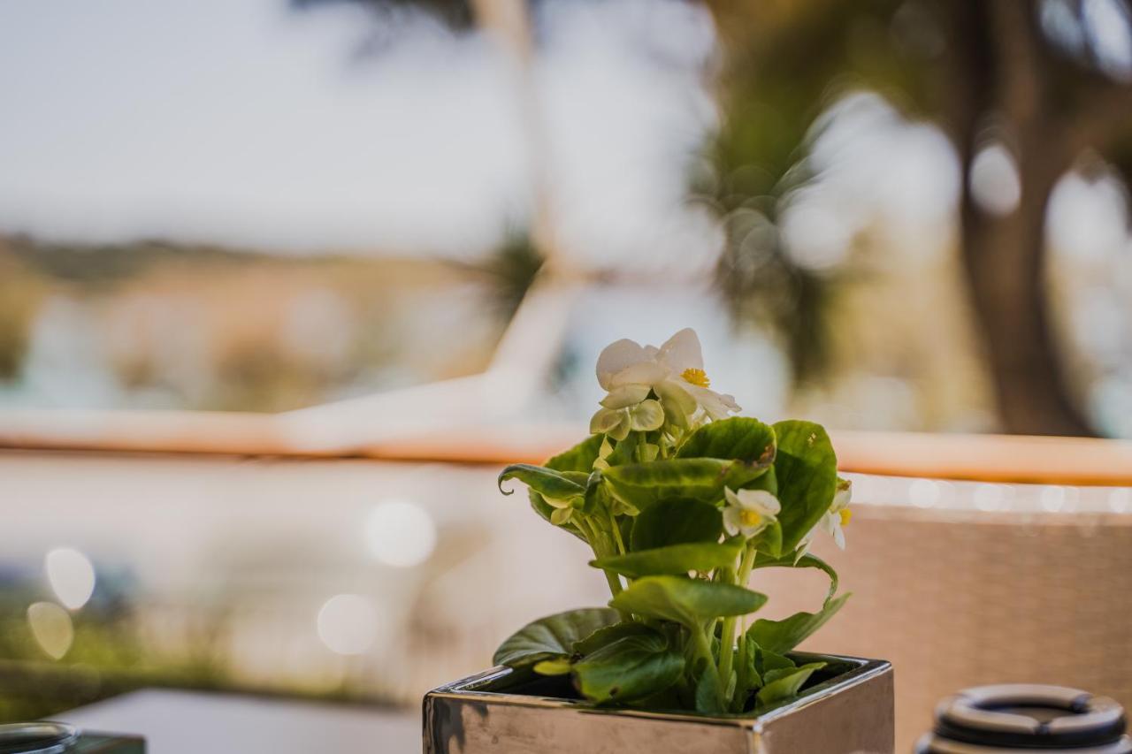 Green Apartment Ground Floor Feel Like Home Properties Saronida Eksteriør bilde